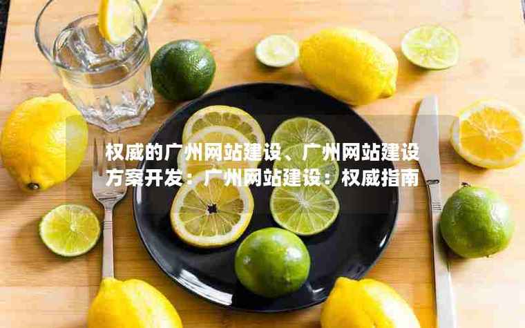 权威的广州网站建设,广州网站建设方案开发:广州网站建设:权威指南