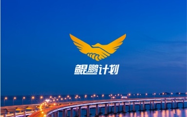 政府网站建设,事业单位网站建设【广州新际】网站建设 第一品牌