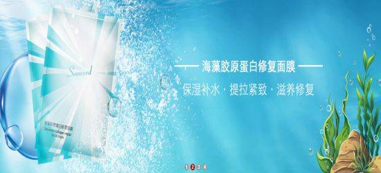 广州美呈化妆品和本公司签订网站建设协议