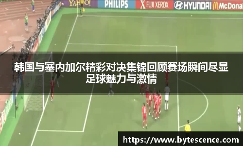韩国与塞内加尔精彩对决集锦回顾赛场瞬间尽显足球魅力与激情